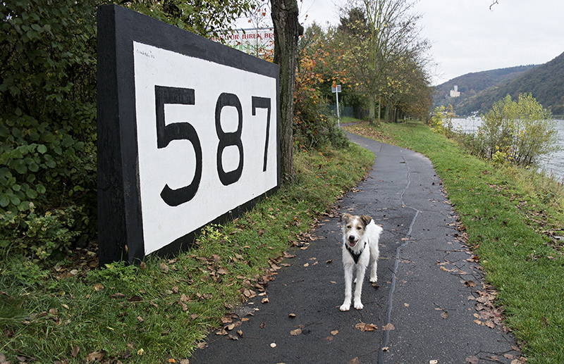 Lahntal SAM_4763 Kopie.jpg - In der Natur fühlt sich Felix immer noch am whlsten